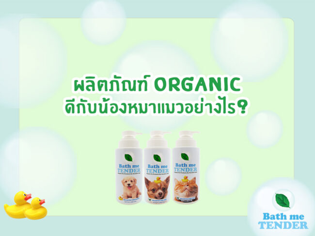 ผลิตภัณฑ์ออร์แกนิค ดีกับน้องหมาแมวอย่างไร Bath me Tender
