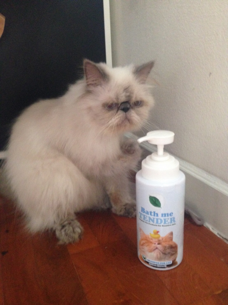 รีวิว แชมพูแมว Bath me Tender customer review - organic cat shampoo - น้องเวลตี้ (2)
