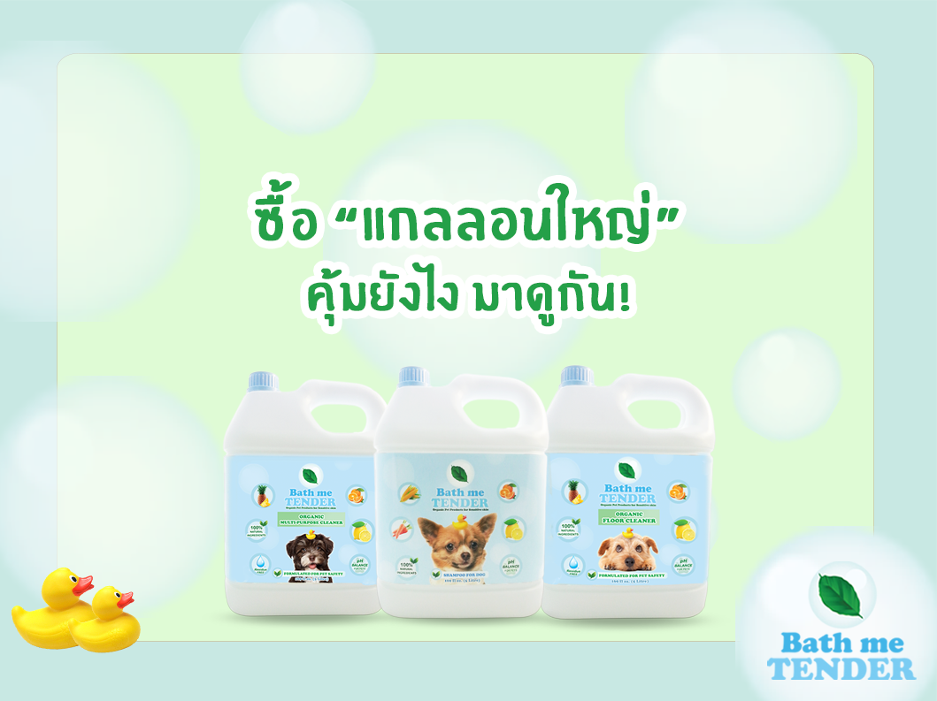 Bath me Tender แกลลอน 5ลิตร ซื้อแกลลอนใหญ่คุ้มยังไง-มาดูกัน