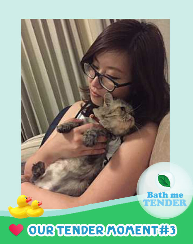 Bath me Tender - Tender Moment - รูปแมวน่ารัก - 27-8-59 - บีและน้องมีมี่